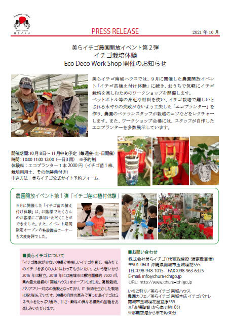 イチゴ栽培体験 Eco Deco Work Shop 開催のお知らせ