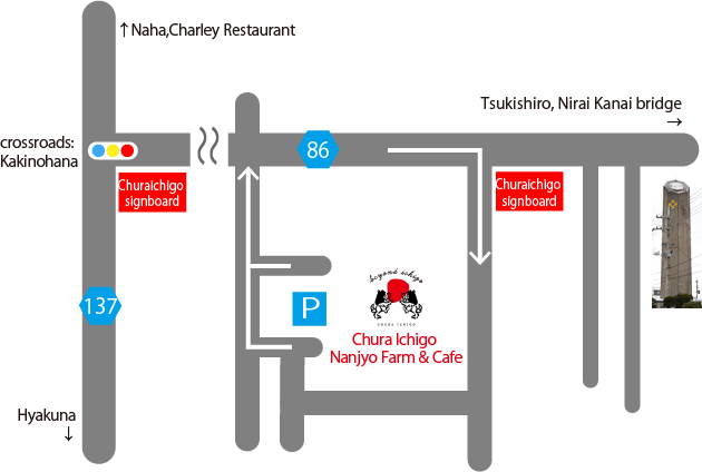 Nanjo Strawberry Farm